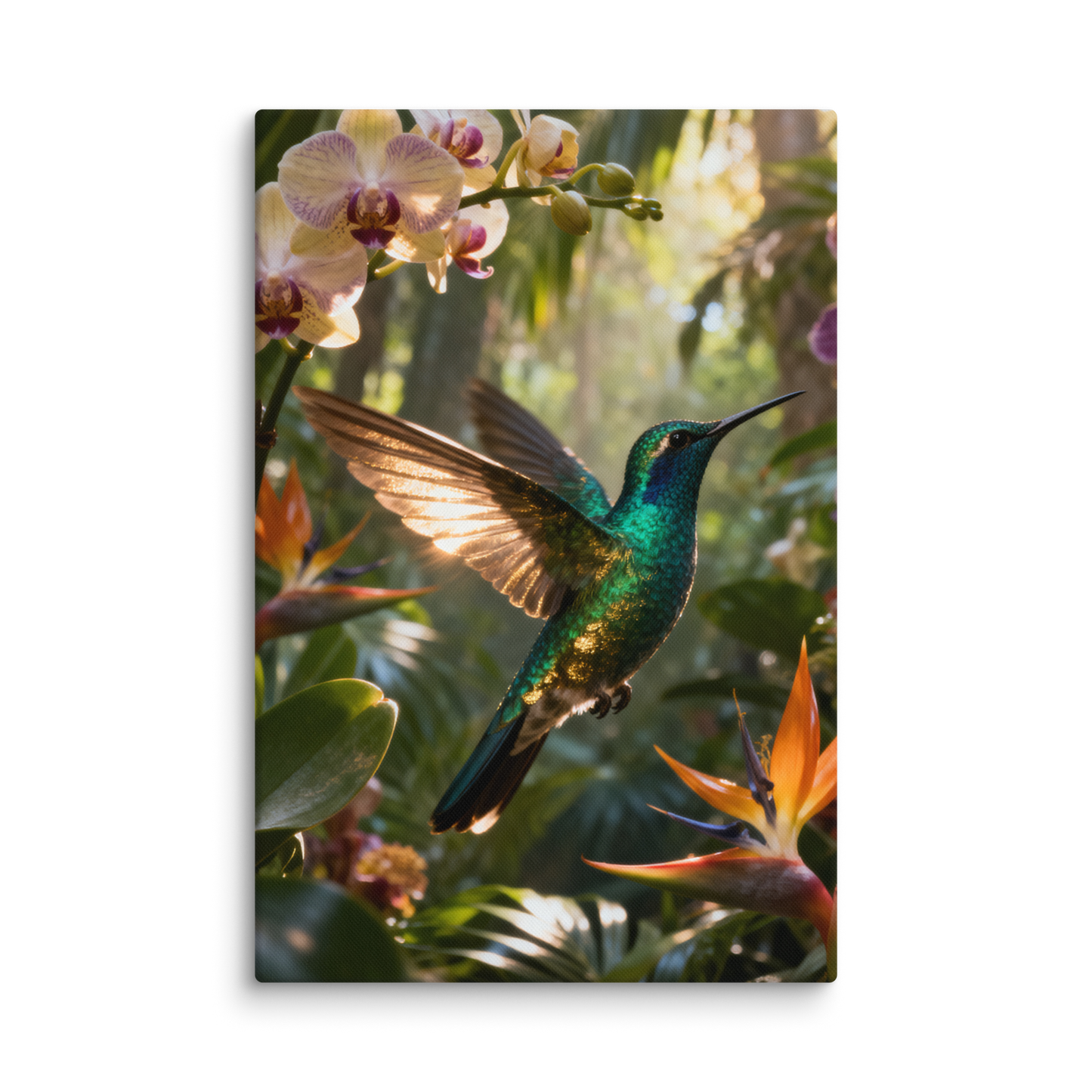 Leinwand mit schillerndem Kolibri im tropischen Regenwald zwischen exotischen Blüten und üppiger Vegetation. Transparente Produktansicht im Format 40×60 Zoll mit leuchtendem Gefieder, warmen Lichtstrahlen und detailreicher Naturkulisse.