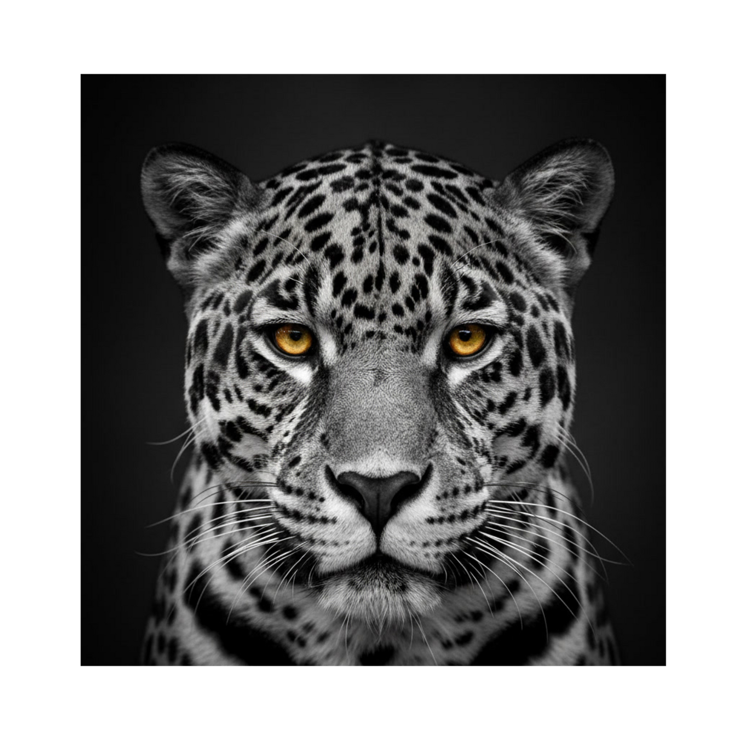 Freigestelltes Jaguar-Motiv mit goldenen Augen auf transparentem Hintergrund zur Darstellung des Duschvorhang-Designs.