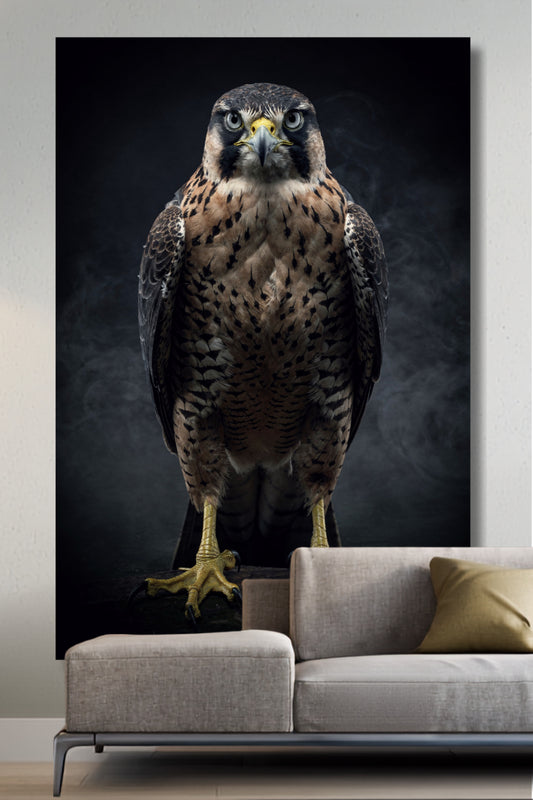 Leinwand eines Falken mit zentriertem Blick an einer hellen Wand über einem grauen Sofa in einem Wohnbereich