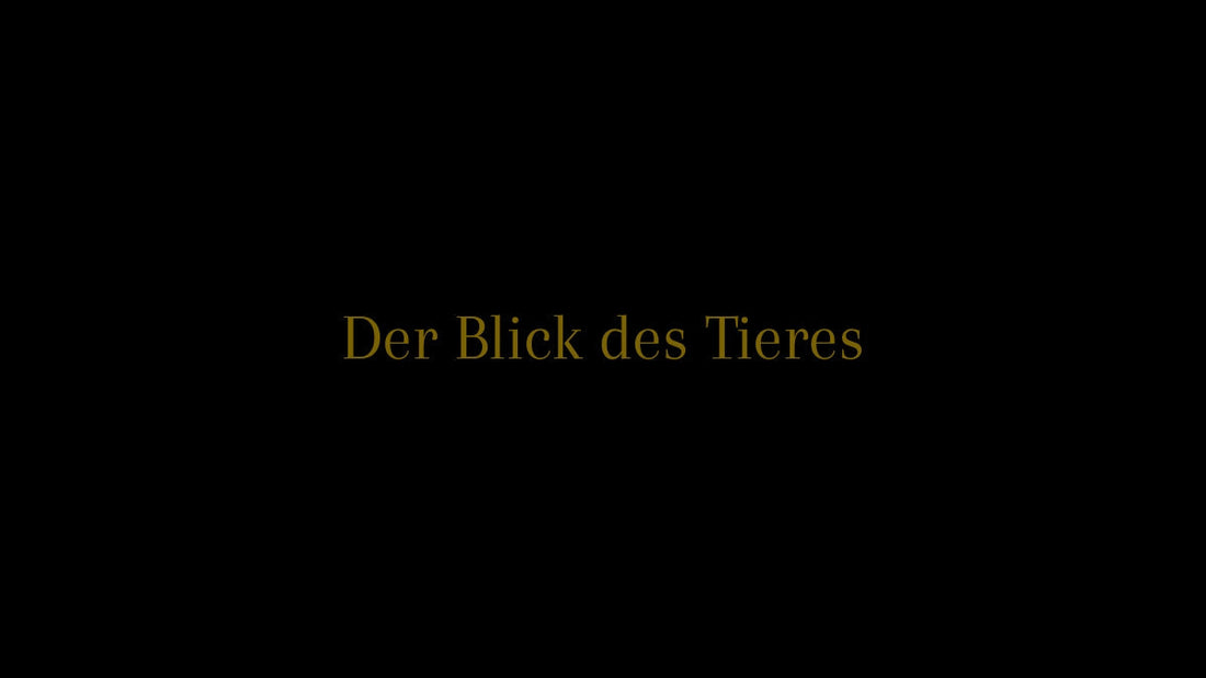 Der Moment der Begegnung im Bild