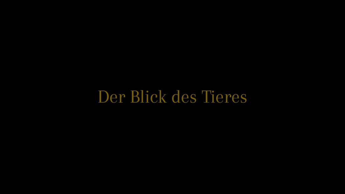 Der Moment der Begegnung im Bild