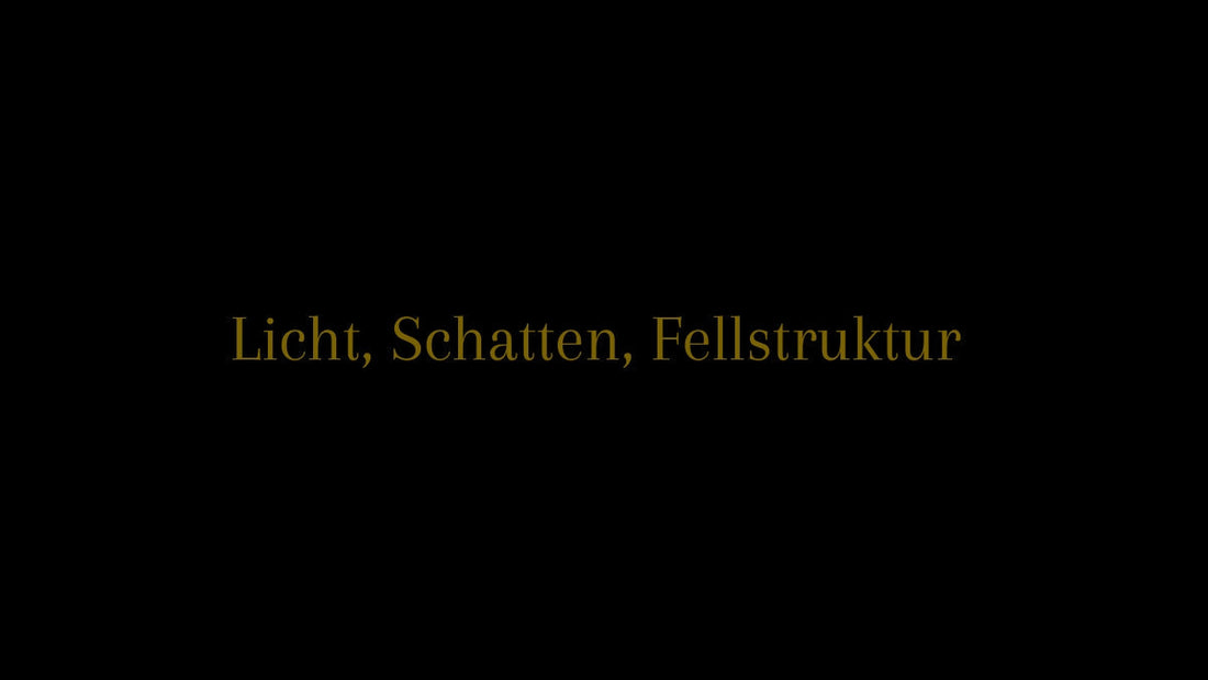 Wie Licht, Schatten und Struktur Tiefe erzeugen