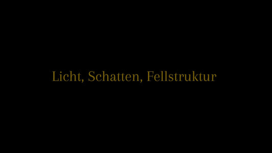 Wie Licht, Schatten und Struktur Tiefe erzeugen