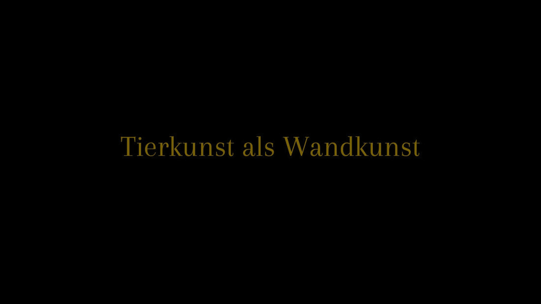 Wirkung, Raumgefühl und zeitlose Ästhetik