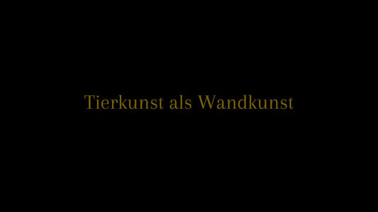 Wirkung, Raumgefühl und zeitlose Ästhetik