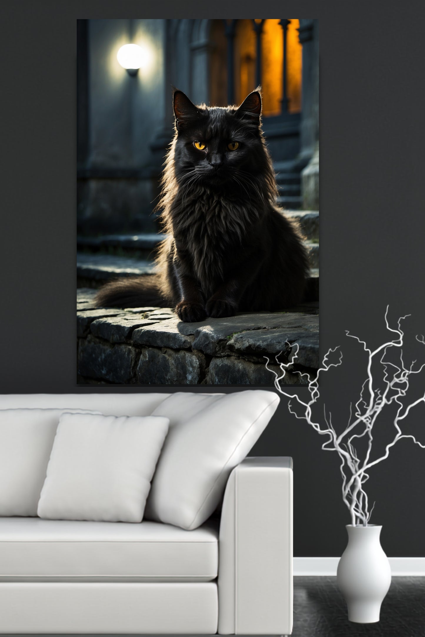 Poster Schwarze Katze mit intensivem Blick