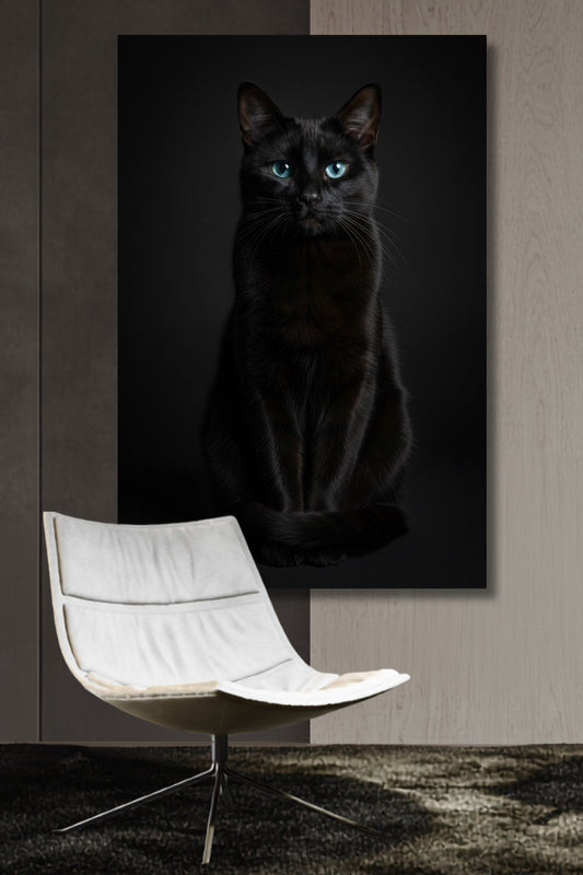 Poster einer schwarzen Katze mit blauen Augen