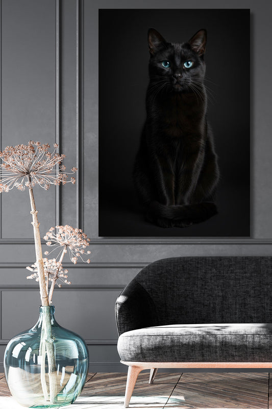 Poster einer schwarzen Katze mit blauen Augen