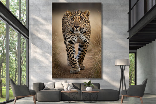 Leinwand eines Leoparden in frontaler Ausrichtung