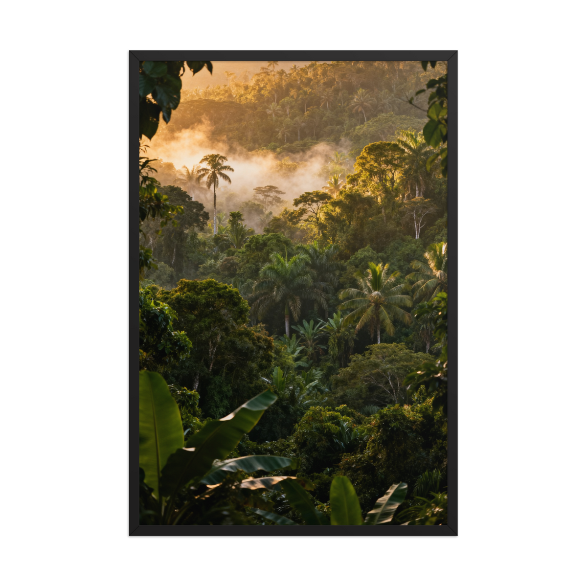 Gerahmtes Poster mit tropischem Regenwald und Nebel als freigestellte Produktdarstellung