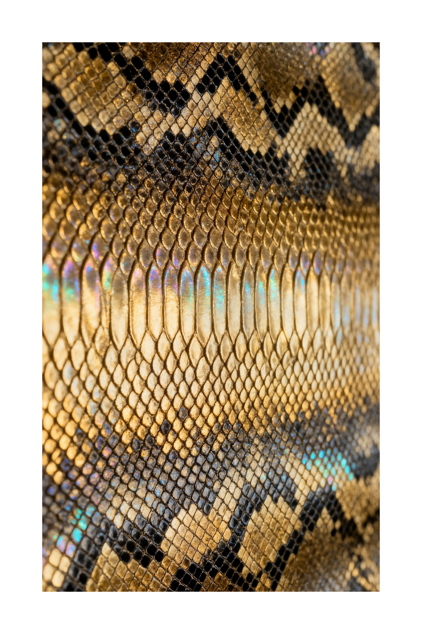 Freigestelltes Glas mit goldener Schlangenstruktur und luxuriöser Hochglanzoptik