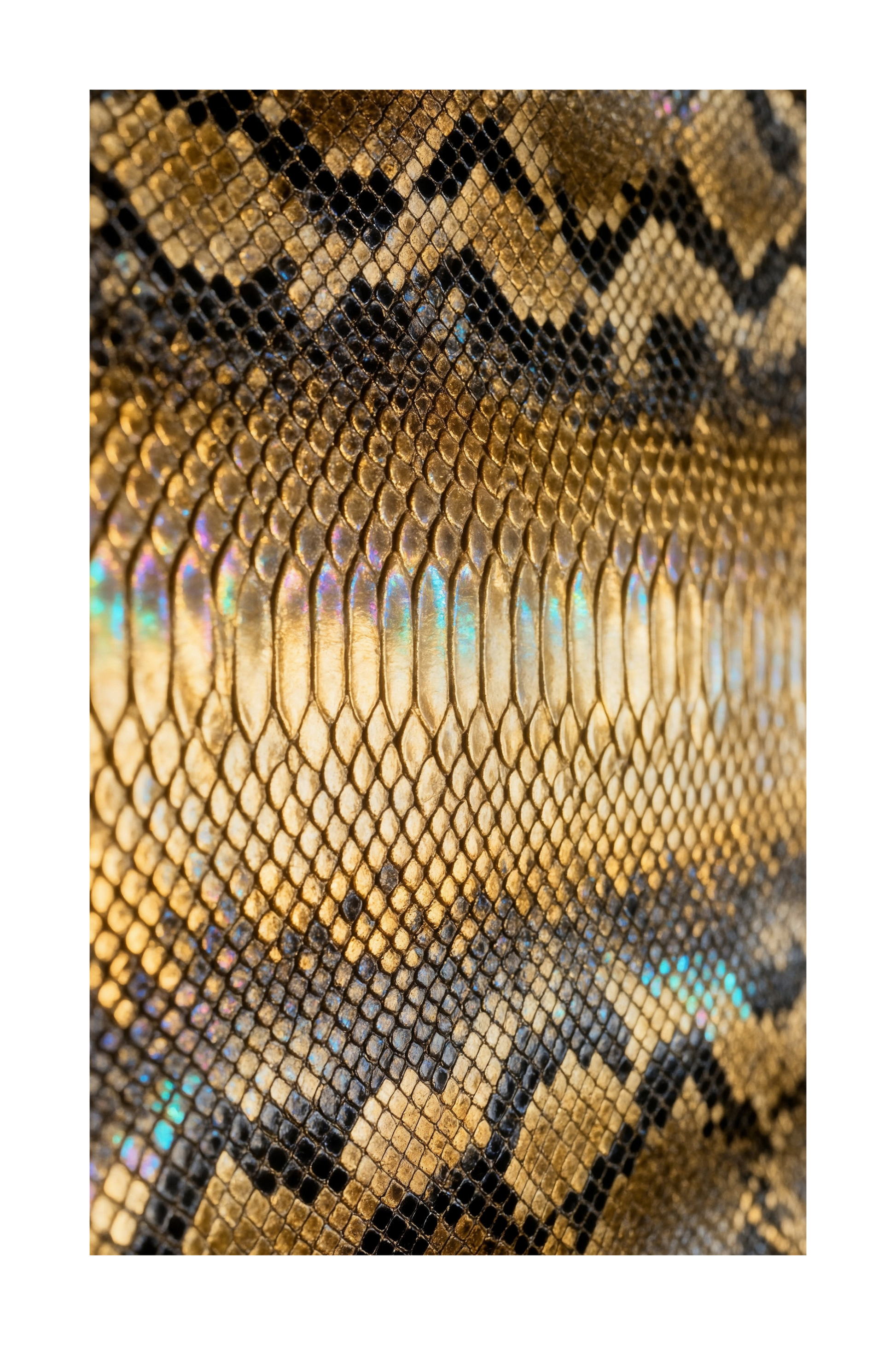 Freigestelltes Glas mit goldener Schlangenstruktur und luxuriöser Hochglanzoptik