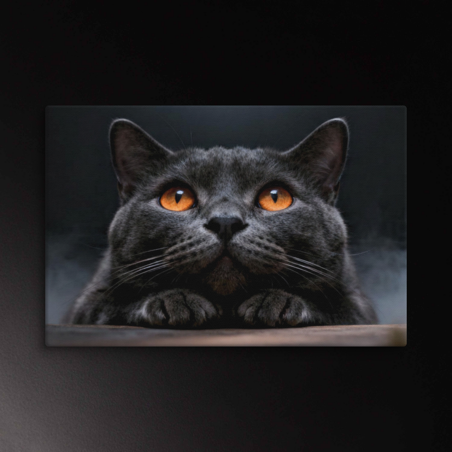 Graue Katze Leinwand mit leuchtenden Augen und ruhiger Ausstrahlung vor dunklem Hintergrund