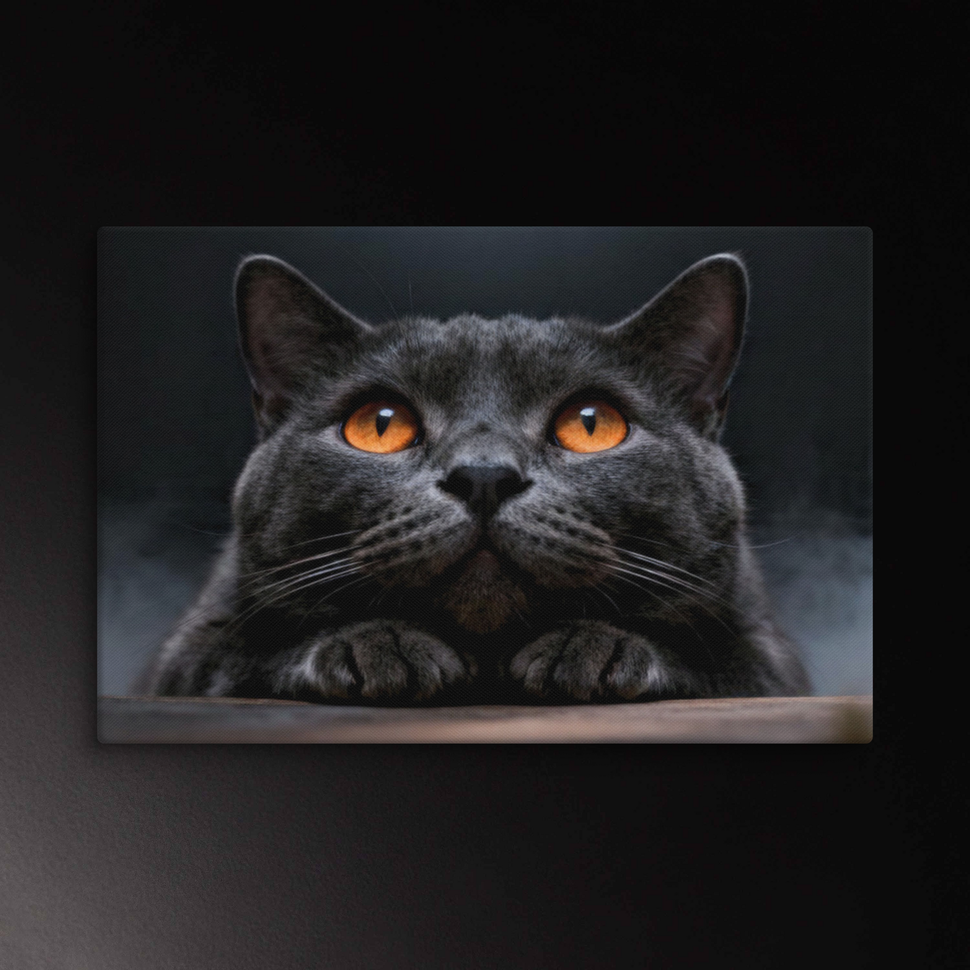 Graue Katze Leinwand mit leuchtenden Augen und ruhiger Ausstrahlung vor dunklem Hintergrund