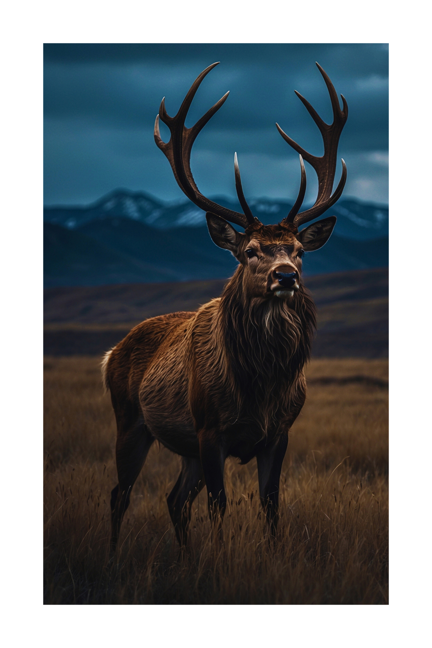Freigestelltes Hirsch Leinwandbild 40x60 Zoll zur Vorschau der Bildwirkung ohne Hintergrund