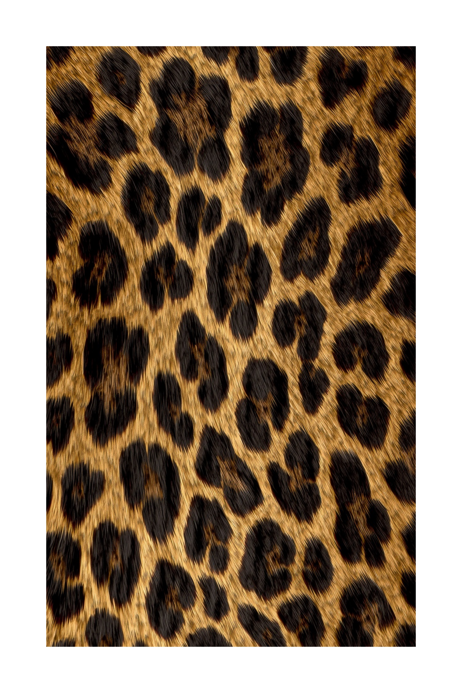 Jaguarfell-Print als transparentes Motiv, für die Crossbody Bag, vollflächig bedruckt
