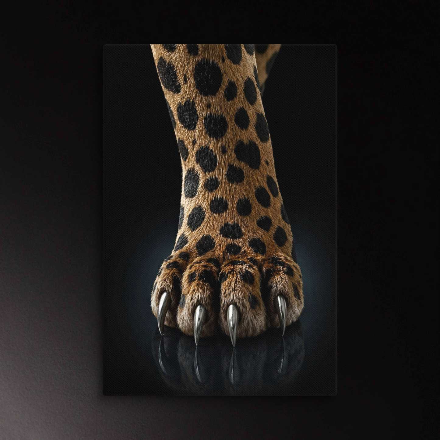 Detailaufnahme einer Jaguar Pfote mit silbern schimmernden Krallen und dezenter Spiegelung auf dunklem Untergrund
