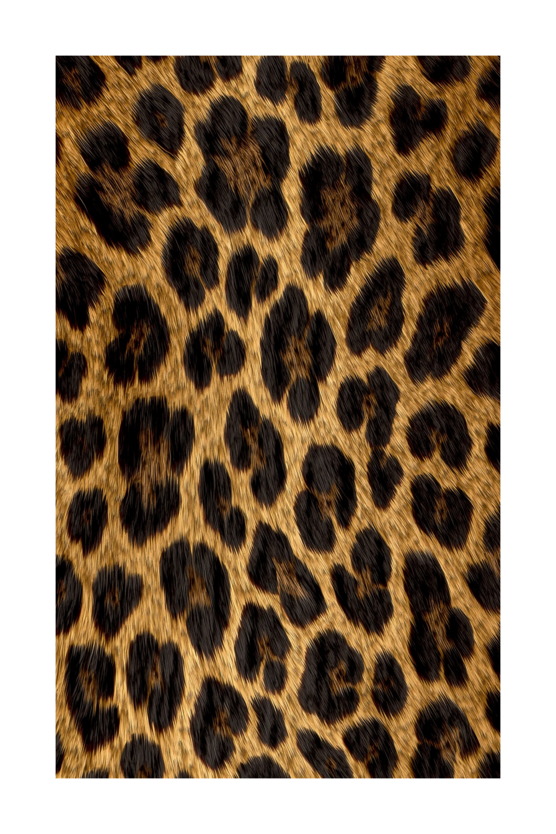Freigestelltes luxuriöses Jaguar Animal Print