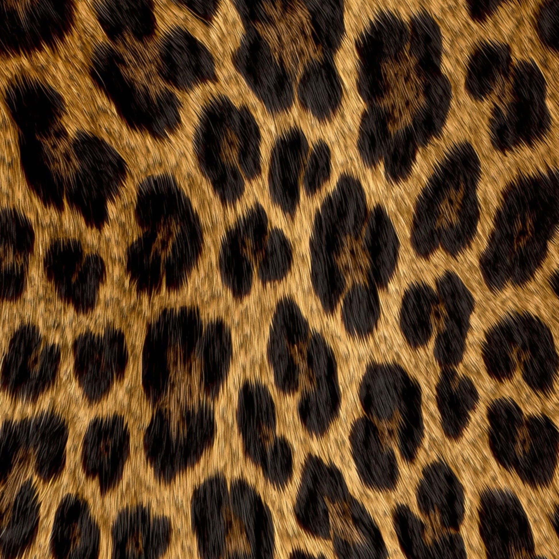 Zoomaufnahme der luxuriösen Jaguarfell Struktur mit warmen Gold- und Schwarztönen 