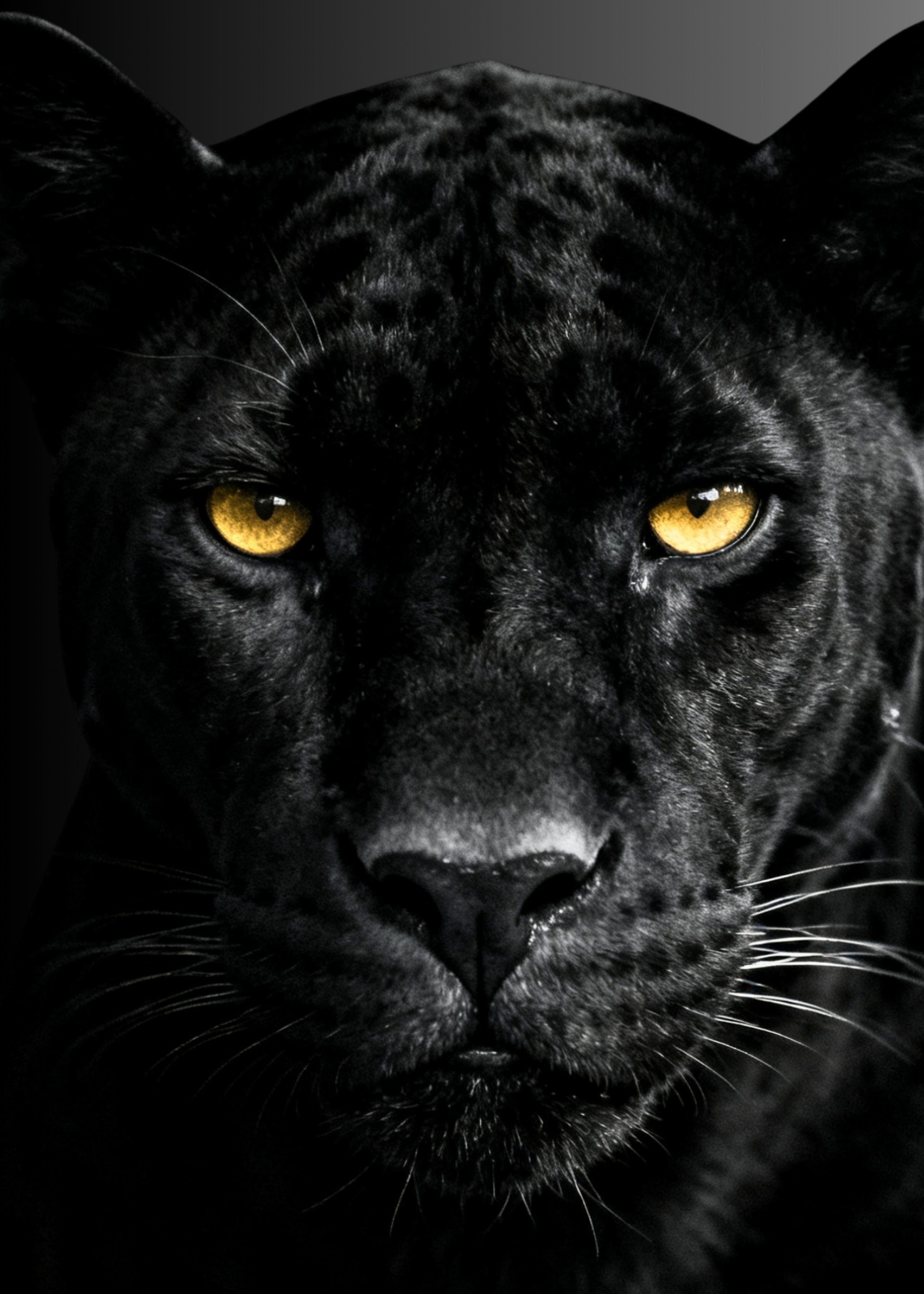 Schwarzer Panther Close-up mit Fokus auf goldene Augen und feine Fellstruktur für hochwertigen Leinwanddruck