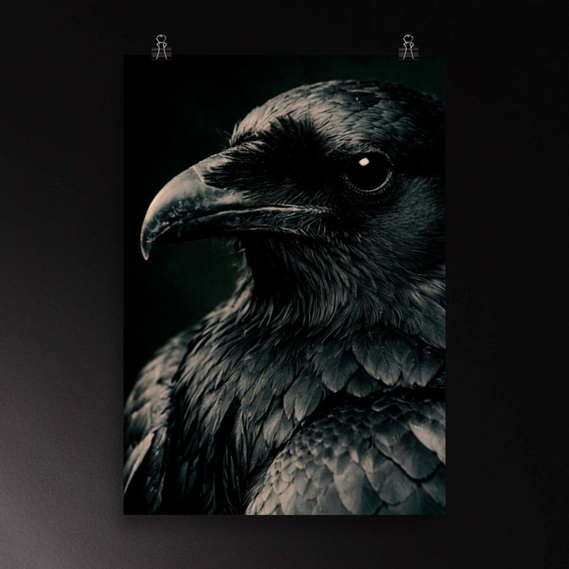 Detailreiches Poster eines schwarzen Raben in intensiver Nahaufnahme – präzise Federstruktur, klare Profilansicht und starke Tiefenwirkung als hochwertige Wandkunst