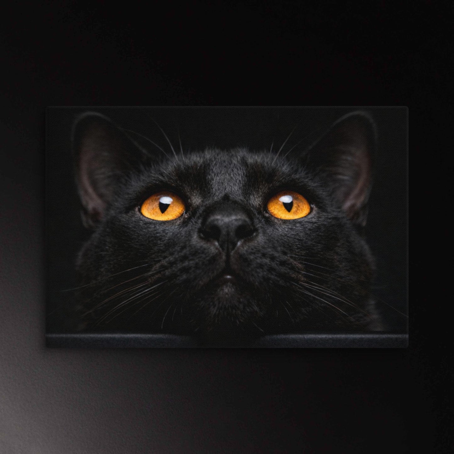 Schwarze Katze Leinwand mit Bernsteinaugen. Klare Bildwirkung und starke visuelle Präsenz vor schwarzem Hintergrund