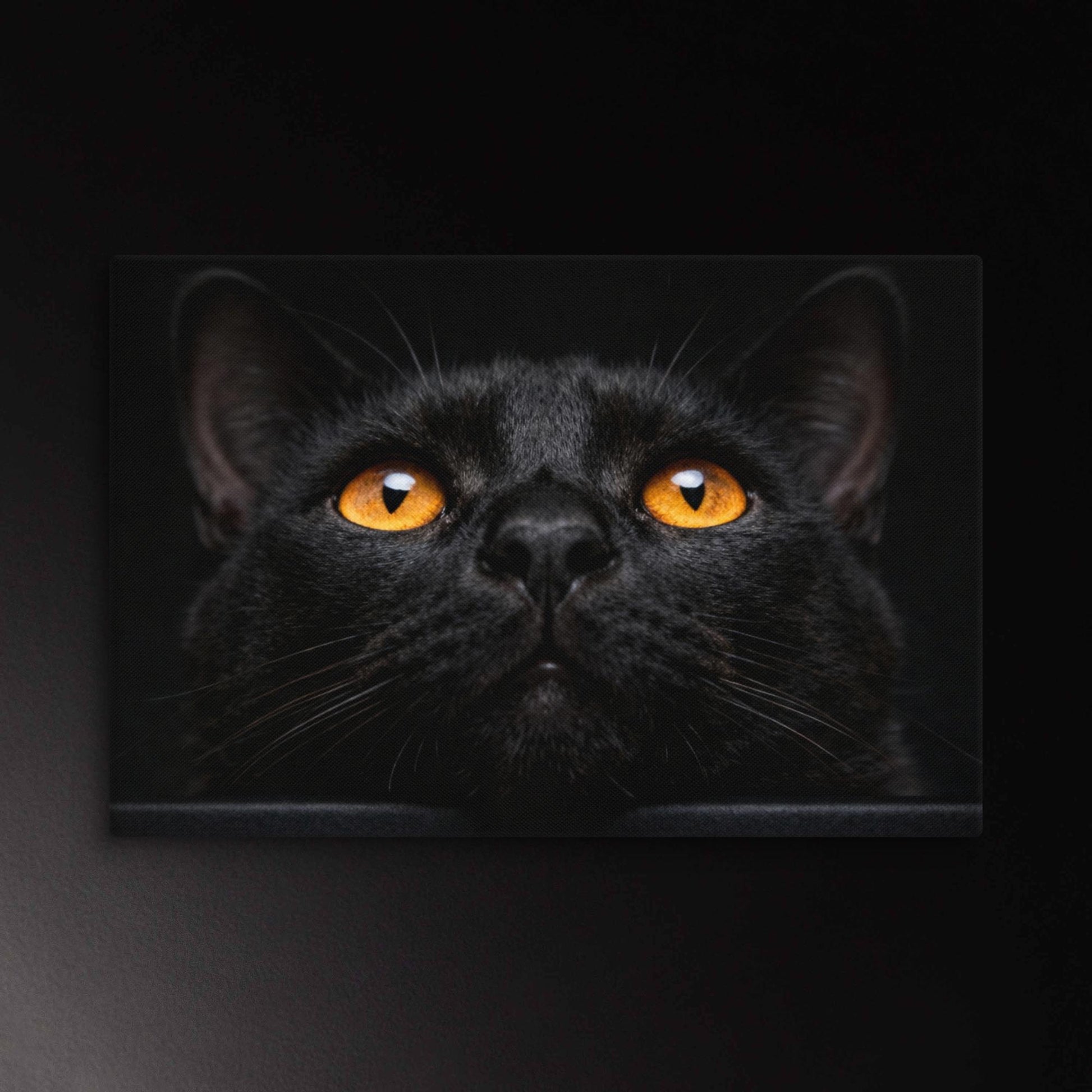 Schwarze Katze Leinwand mit Bernsteinaugen. Klare Bildwirkung und starke visuelle Präsenz vor schwarzem Hintergrund