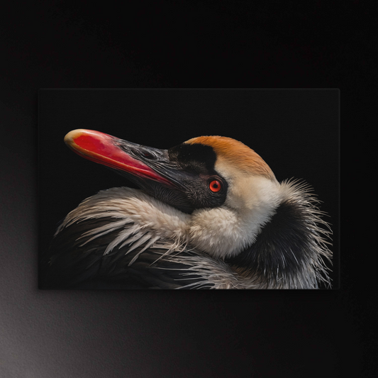Wandkunst Leinwand im Querformat 40x60 Zoll mit ausdrucksstarkem Vogelporträt im Spiel aus Licht und Schatten auf schwarzem Hintergrund.
