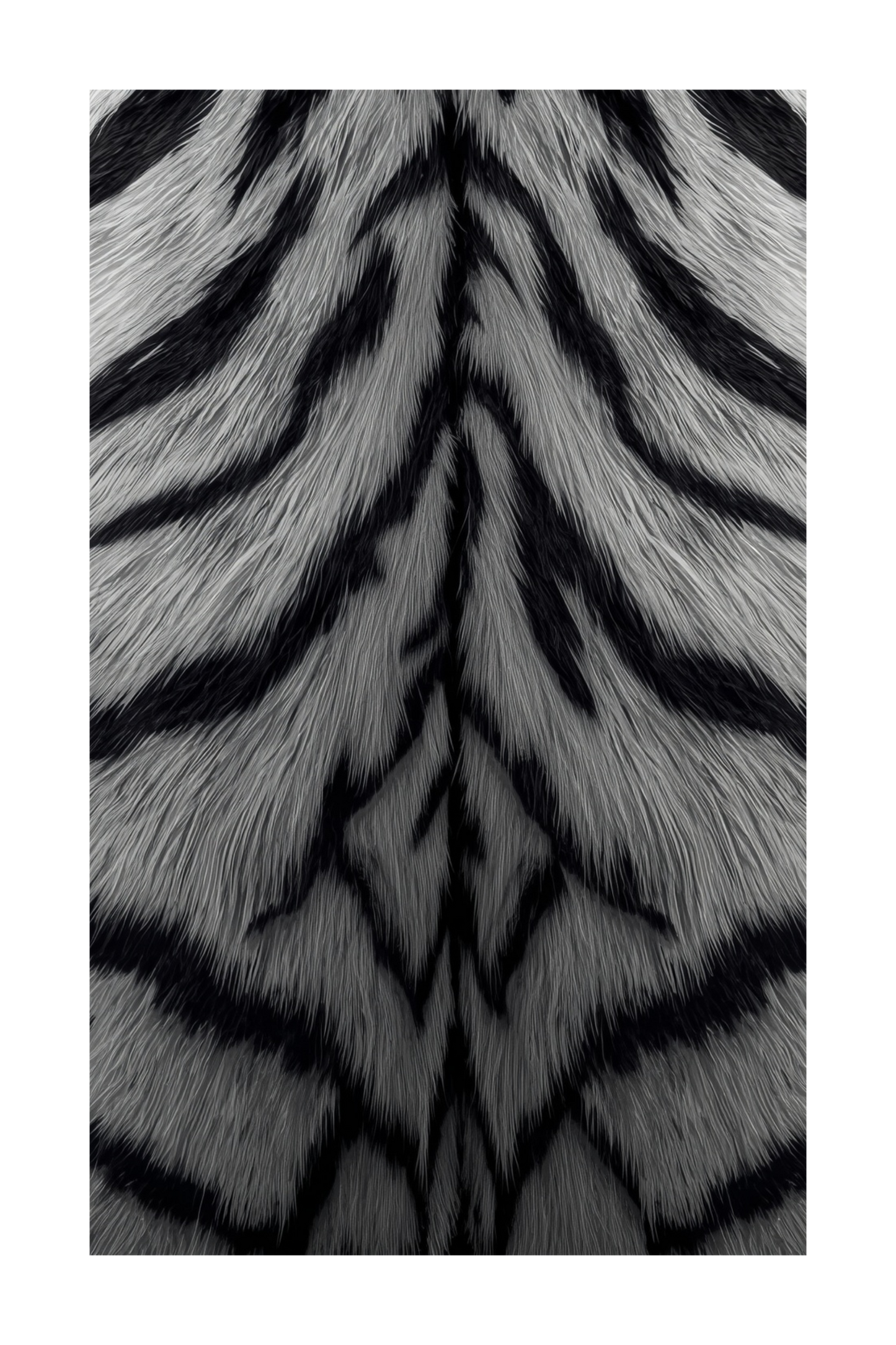 Freigestellte Detailansicht der weißen Tigerfellstruktur mit monochromen Kontrasten